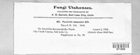 Puccinia chrysanthemi image